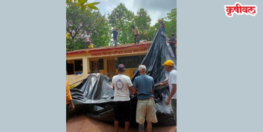 शाळेच्या छपराला प्लास्टिकचा आधार