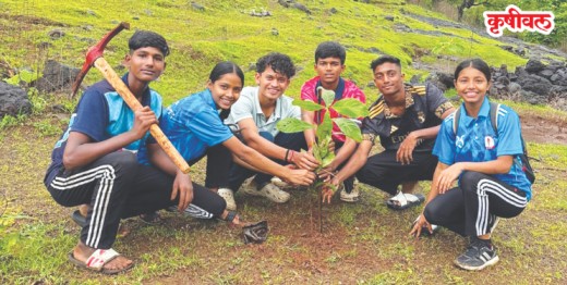 ग्रीन ग्रुपचा हरित संकल्प
