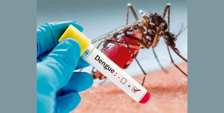 Uran Dengue Outbreak: उरणमध्ये डेंग्यूचा कहर