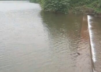 Phansad Dam: फणसाड धरण बनले वर्षाविहाराचे आकर्षण
