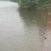 Phansad Dam: फणसाड धरण बनले वर्षाविहाराचे आकर्षण