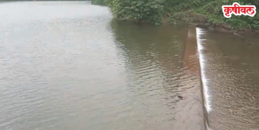 Phansad Dam: फणसाड धरण बनले वर्षाविहाराचे आकर्षण