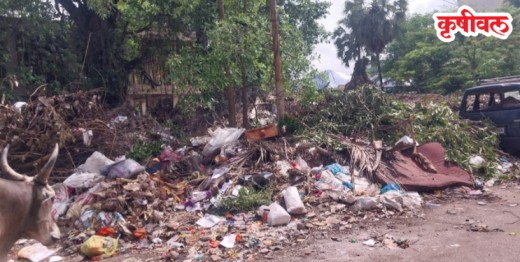 उरण शहर कचऱ्याच्या ढिगाऱ्यात