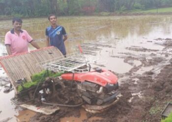 चोरढ्यात यांत्रिक पद्धतीने भात लागवड