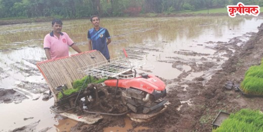 चोरढे येथे यांत्रिक पद्धतीने भात लागवड