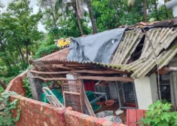 मुसळधार पावसामुळे वेळास येथे वाडा कोसळला