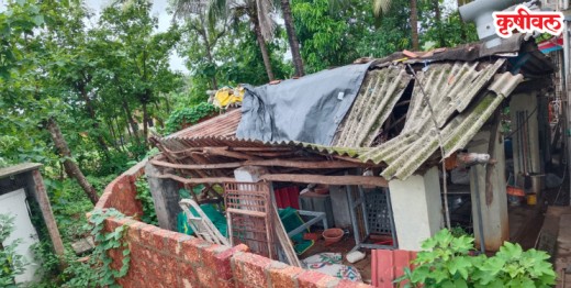 मुसळधार पावसामुळे वेळास येथे वाडा कोसळला
