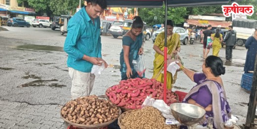 आषाढी एकादशीच्या पार्श्वभूमीवर मार्केटमध्ये उपवासाच्या पदार्थांची रेलचेल