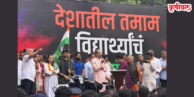 शिवतीर्थावर विजयाचा जल्लोष