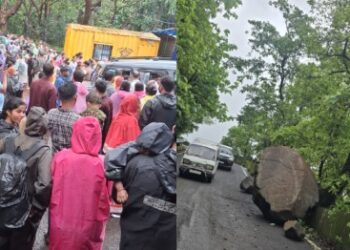 नेरळ- माथेरान घाटात रस्त्यावर कोसळला भलामोठा दगड
