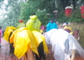 घोड्यांच्या लिदीला ‌‘ई-टेम्पो’चा पर्याय!