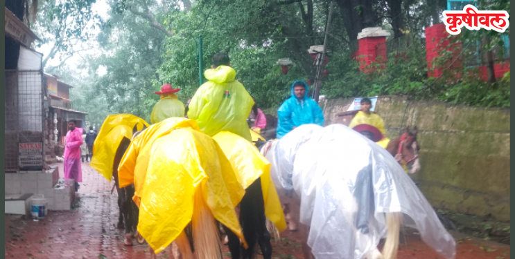 घोड्यांच्या लिदीला ‘ई-टेम्पो’चा पर्याय!