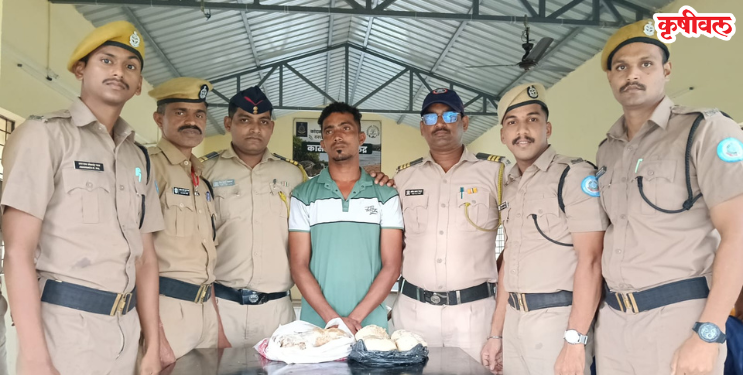 Whale Vomit Seized In Alibag: आमदारांच्या गावातच कोट्यवधींची तस्करी