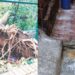 माथेरानमधील आपत्ती व्यवस्थापन नावापुरतेच