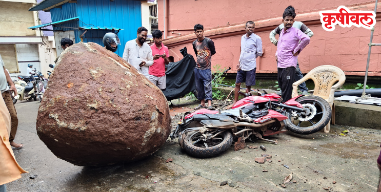 landslide: श्रीवर्धन मध्ये दरड कोसळली