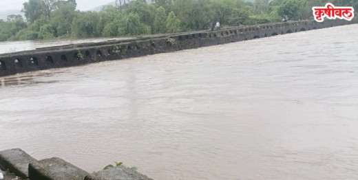 Raigad River Flood News: अंबा, कुंडलिका, पाताळगंगा नद्यांना पूर