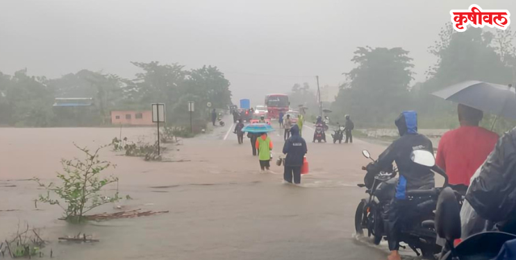Raigad Heavy Rainfall: नद्यांनी ओलांडली धोक्याची पातळी