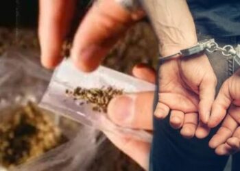 पनवेल रेल्वे स्थानक परिसरातून गांजा जप्त; दोघांना अटक