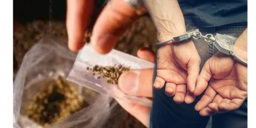 पनवेल रेल्वे स्थानक परिसरातून गांजा जप्त; दोघांना अटक