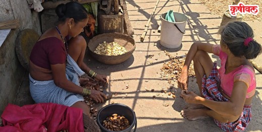 आदिवासी कुटुंबियांना मोहाचा आधार