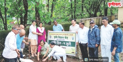 ‌‘ऑक्सिजन पार्क’ संकल्पनेला प्रारंभ