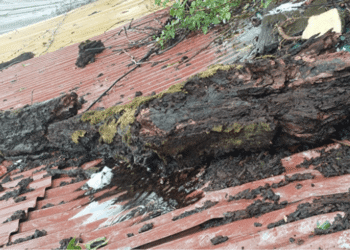 माथेरानमध्ये पावसाची दमदार हजेरी