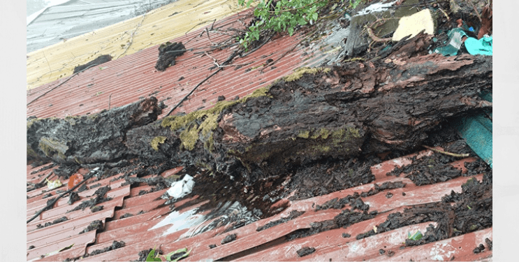 माथेरानमध्ये पावसाची दमदार हजेरी