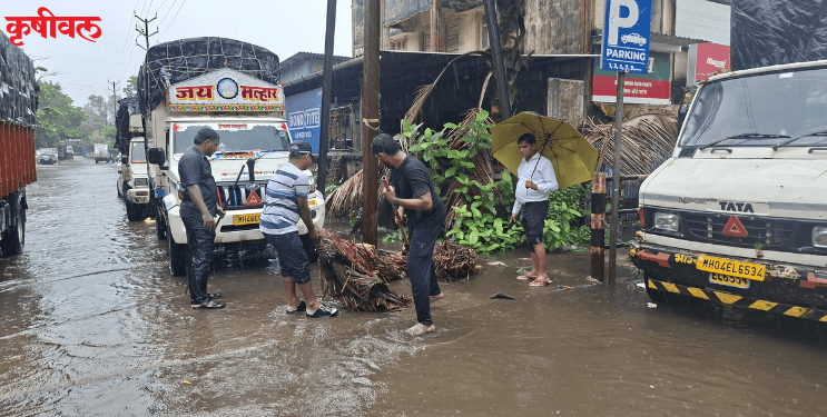मुसळधार पावसात पालिकेची धाव