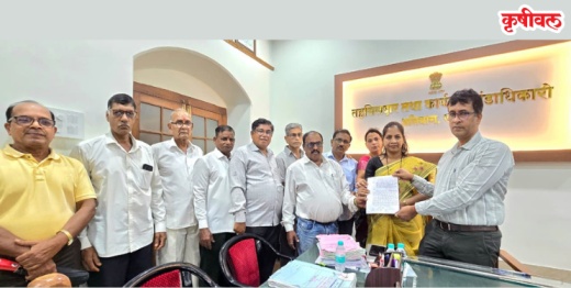 नैसर्गिक पाण्याचा मार्ग अरुंद; आंबेघर, पेझारी येथील शेत जमीन पाण्याखाली