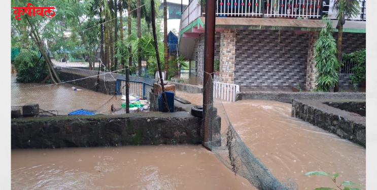 Rain updates: चिरनेर गावावर पुराचे संकट