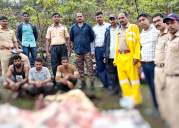 नागोठण्यातील जंगलात गुरांची कत्तल