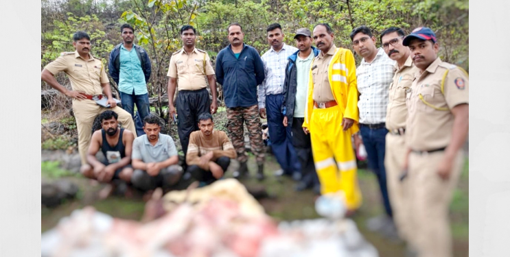 नागोठण्यातील जंगलात गुरांची कत्तल
