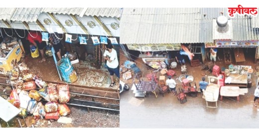 पुरामुळे भातशेतीचे, दुकानदारांचे नुकसान
