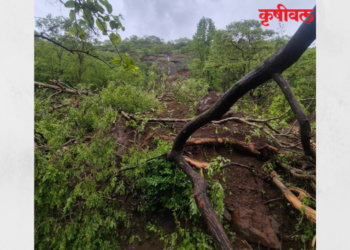 साई डोंगर भागात दरड कोसळली