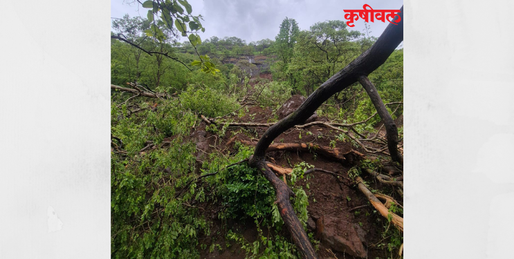 साई डोंगर भागात दरड कोसळली