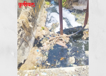 पाताळगंगा प्रदूषित करण्याचा उद्योग