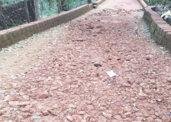 जनतेच्या पैशाची वारेमाप उधळपट्टी