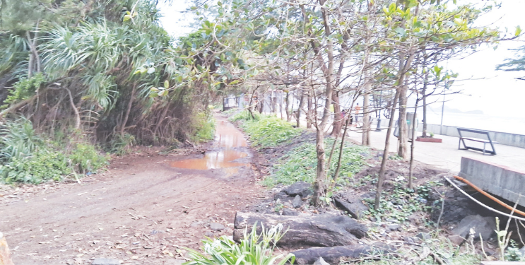 श्रीवर्धनमध्ये लाखो लिटर पाणी वाया