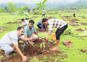 धर्माधिकारी प्रतिष्ठानच्या वतीने वृक्षारोपण