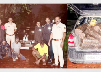 वनखात्याकडून तीन खैरतस्कर जेरबंद