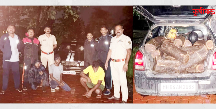 वनखात्याकडून तीन खैरतस्कर जेरबंद