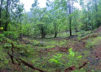 पोलादपूर तालुक्यातील नाणेघोळ येथील डोंगराला भेगा