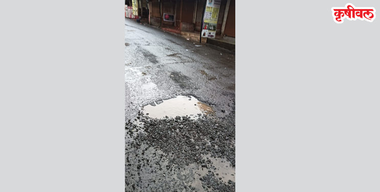 पालीत पहिल्याच पावसात रस्त्यांची दुरवस्था