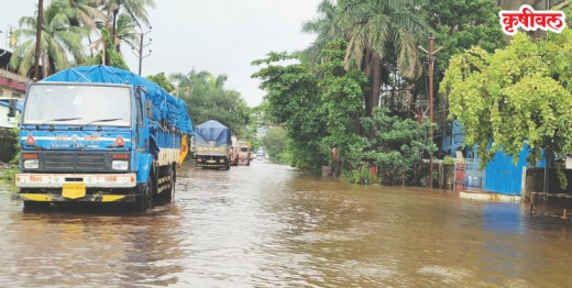 धाटाव वसाहतीतील रस्ते पाण्याखाली