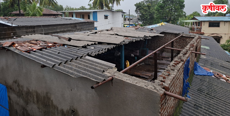 वेळास येथील घराचे पत्रे उडाले