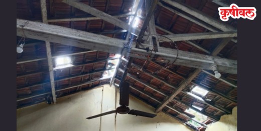 छताला गळती, वर्गात पाणी!