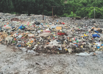 तळ्यातील डम्पिंग ग्राऊंडचे स्थलांतर रखडले