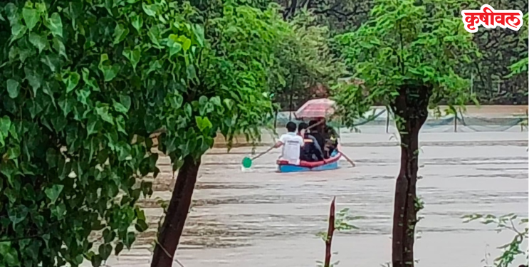 उरणमधील पाले गाव जलमय