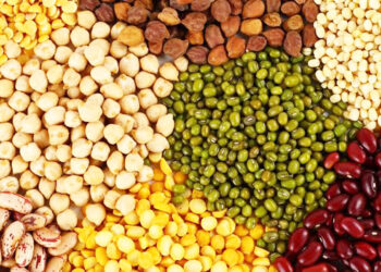 कडधान्य प्रक्रिया केंद्रांसाठी अनुदान