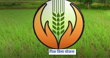 खरीपातील 14 पिकांसाठी प्रधानमंत्री पीक विमा